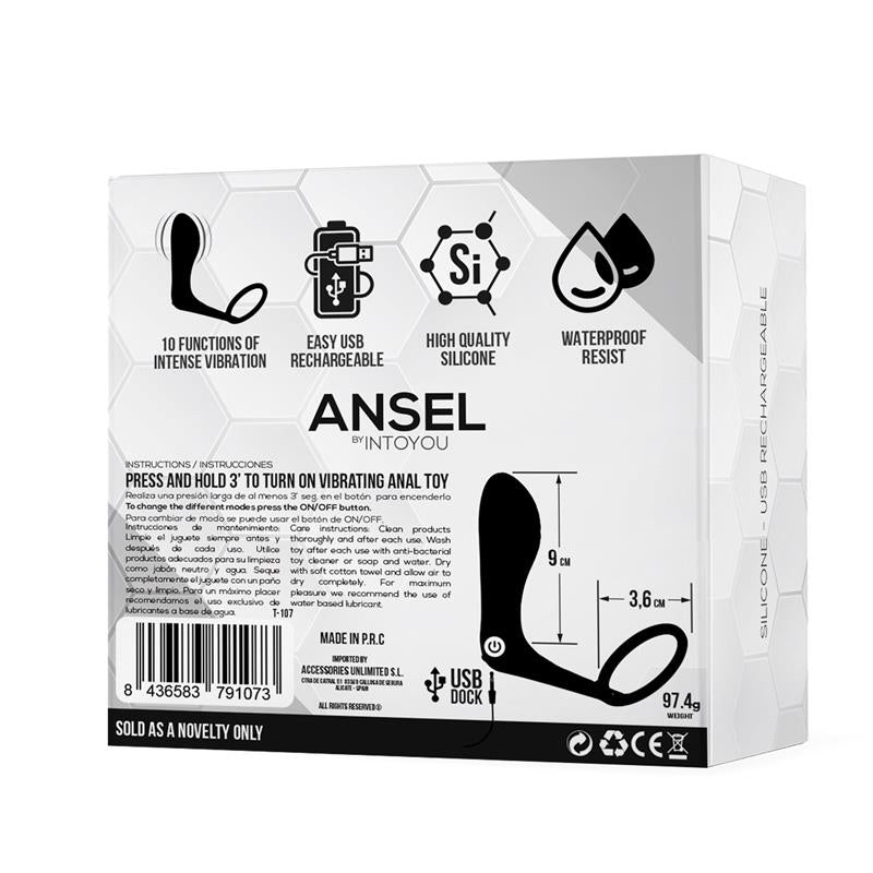 Plug Anal Vibrador con Anillo USB Silicona